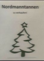 Christbaum - Nordmanntanne - Fichte - Blaufichte Bayern - Steinwiesen Vorschau