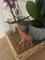 Giraffe Schleich Güstrow - Landkreis - Güstrow Vorschau