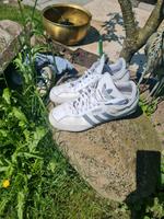 Verkaufe gebrauchte Adidas Samba  Sneaker Nordrhein-Westfalen - Verl Vorschau
