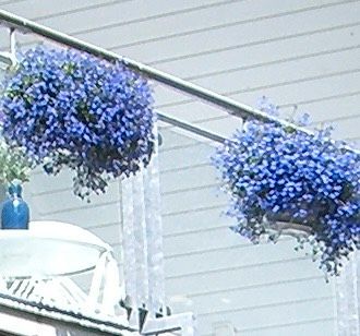 Hakentopfhalter Balkon Metall Pflanzgefäße Blumentopf Halter in Buchholz in der Nordheide