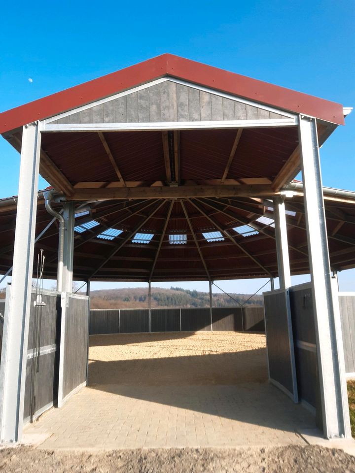 Stall/Box frei für 2 Stuten in Hofheim am Taunus