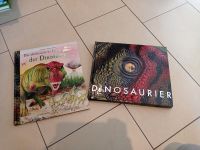 Zwei Dinosaurier Bücher Nordrhein-Westfalen - Neuenkirchen Vorschau
