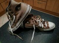 Original Converse All Star Chucks - Größe 37,5 Hessen - Großkrotzenburg Vorschau
