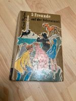 Enid Blyton - 5 Freunde auf der Felseninsel Niedersachsen - Laatzen Vorschau