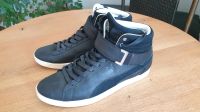 Puma Basketballschuhe schwarz Bayern - Höchberg Vorschau