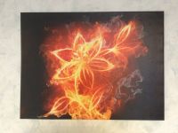 Leinwandbild Feuerblume auf Keilrahmen 80x62cm Top Zustand Bayern - Weißenhorn Vorschau