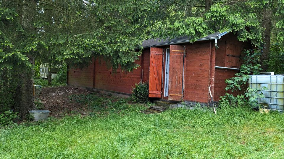 Wochenend Grundstück mit Bienen-Haus in Altenkirchen Pfalz