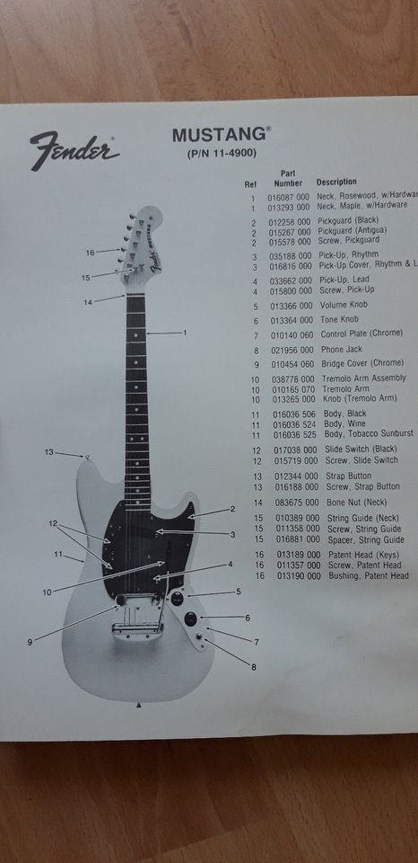 Fender Service Manual - Black Gold in Erding