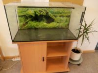 Aquarium mit Unterschrank Aubing-Lochhausen-Langwied - Aubing Vorschau