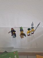 Lego minifiguren jede Figur 5 Euro lego konvolut lego minifiguren Rheinland-Pfalz - Landau in der Pfalz Vorschau