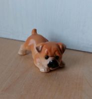 Hundefigur Setzkasten, Bulldogge, Continental Bulldog, 3,5cm lang Niedersachsen - Bohmte Vorschau