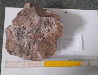 Diverse Mineralien Steine Kristalle abzugeben Baden-Württemberg - Bad Schussenried Vorschau