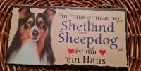 Verschiedene Hunde & Katzenschilder Dresden - Gruna Vorschau