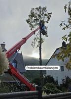 Baumfällarbeiten Mulchen Baum u Gartenpflege Heckenschnitt Wald Rheinland-Pfalz - Orsfeld Vorschau