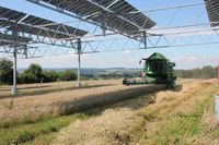 Ackerland, Freiflächen und Große Dachflächen Rheinland-Pfalz - Ötzingen Vorschau