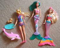 Barbie / Meerjungfrau / Taucherin mit Delfin und Hund Mecklenburg-Vorpommern - Stralsund Vorschau
