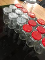 Einmachgläser* Schraubgläser*Glasflaschen*5 Karton voll Bayern - Meitingen Vorschau