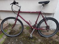 Mountainbike Jamis Explorer als City Bike mit Straßenbereifung Rheinland-Pfalz - Berg Kreis Ahrweiler Vorschau