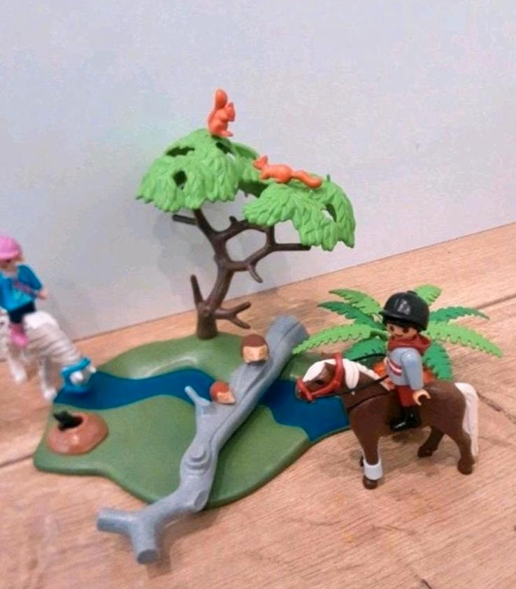 Playmobil 6947 Pferde Ausritt mit und viel Zubehör neuwertig in Walldürn