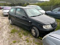 Vw Polo 6n2 3 Türer 1.0 AUC E5Y L041 Schlachtfahrzeug Teile Rheinland-Pfalz - Idar-Oberstein Vorschau