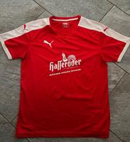 Sport-Shirt Sachsen-Anhalt - Hohe Börde Vorschau