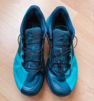 Salomon X Alpine / Pro Trail-Running-Schuhe – Damen Baden-Württemberg - Fellbach Vorschau