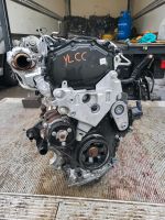 MOTOR YLCC YMCB YNCA YLDA FORD MONDEO MK5 2.0d EcoBlue Nordrhein-Westfalen - Schloß Holte-Stukenbrock Vorschau