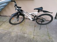 Verkaufe mein Fahrrad Nordrhein-Westfalen - Blomberg Vorschau