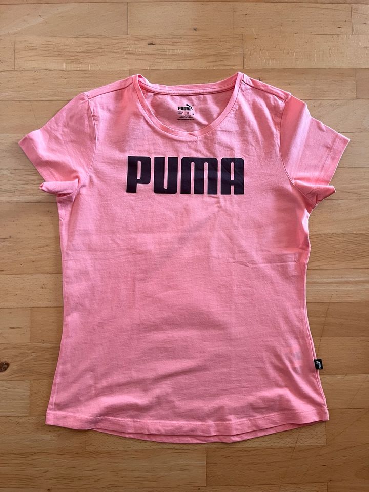 Puma Damen T- Shirt in Attendorn