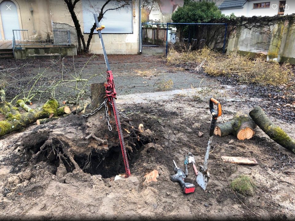 Baumwurzel entfernen, Hecke Fräse Wurzel in Leipzig