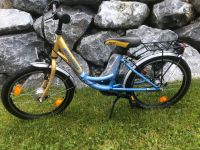 20 Zoll Kinderfahrrad Bayern - Maierhöfen Allgäu Vorschau