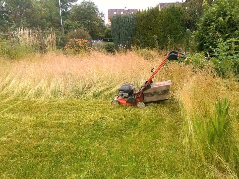 Gartenarbeiten Forst und Kommunaldienstleistungen in Kalefeld