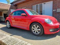 VW Beetle Felgen zum Verkaufen VB nur Abholung Nordrhein-Westfalen - Hörstel Vorschau