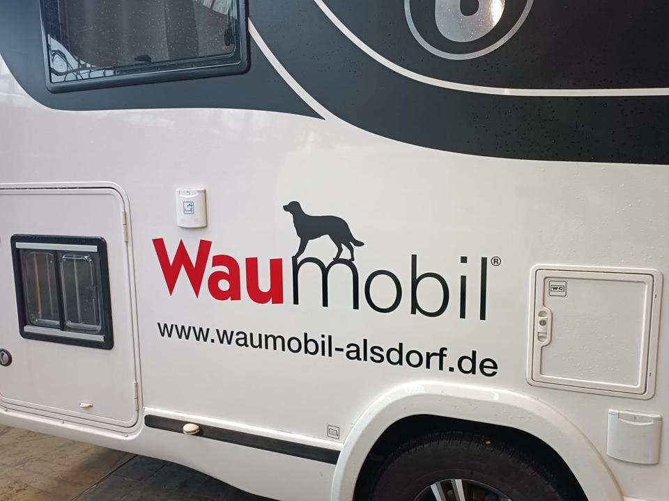 Waumobil Hundeurlaub Urlaub Hund Wohnmobil Camping Neufahrzeug in Alsdorf