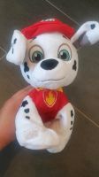 Marshall paw patrol Stofftier / Plüschtier Bayern - Weiden (Oberpfalz) Vorschau