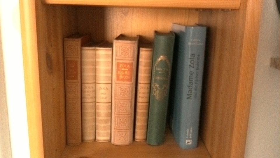 Emile Zola: Die Rougon Macquart, 20 Bände in Haßloch
