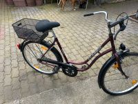 Damenfahrrad 26 Zoll Sachsen-Anhalt - Lutherstadt Wittenberg Vorschau