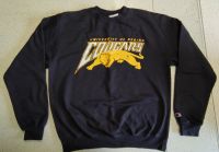 Vintage Champion Sweater Pullover Bayern - Geldersheim Vorschau