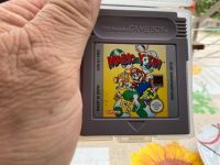 Nintendo Game Boy Sachsen-Anhalt - Gommern Vorschau