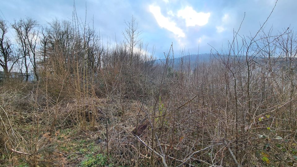 Grundstück in herrlicher Hanglage in Leopoldstal in Horn-Bad Meinberg