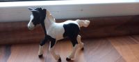 4x Schleich Fohlen Rheinland-Pfalz - Katzenelnbogen Vorschau