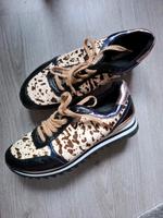 Sneaker von GIOSEPPO , Grösse 41 Hannover - Südstadt-Bult Vorschau