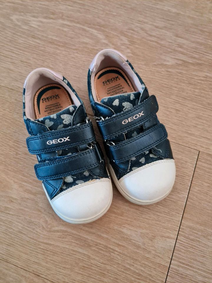 Geox Mädchen Schuhe Sneaker dunkelblau Gr. 26 in Radebeul