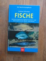 Fische - Bestimmungsbuch von BLV Edewecht - Edewecht - Friedrichsfehn Vorschau