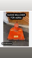 Agria 6000 Mulcher Baden-Württemberg - Offenburg Vorschau