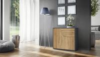 Highboard Sideboard Kommode Schrank Regal  Vitrine Nordrhein-Westfalen - Lemgo Vorschau