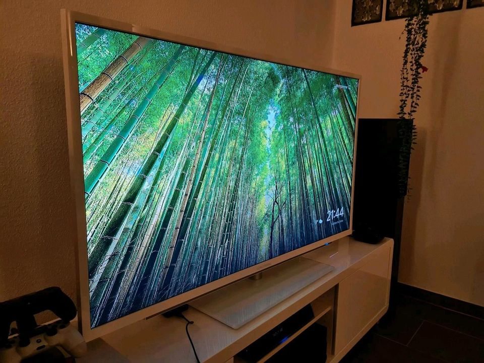 Grundig 55 Zoll Full HD Smart TV Wifi weiß in Tönisvorst