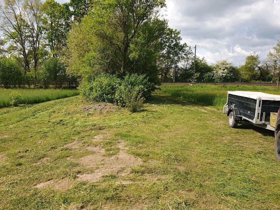 Wiese mähen Lohnarbeit Rasen mähen in Karlstein