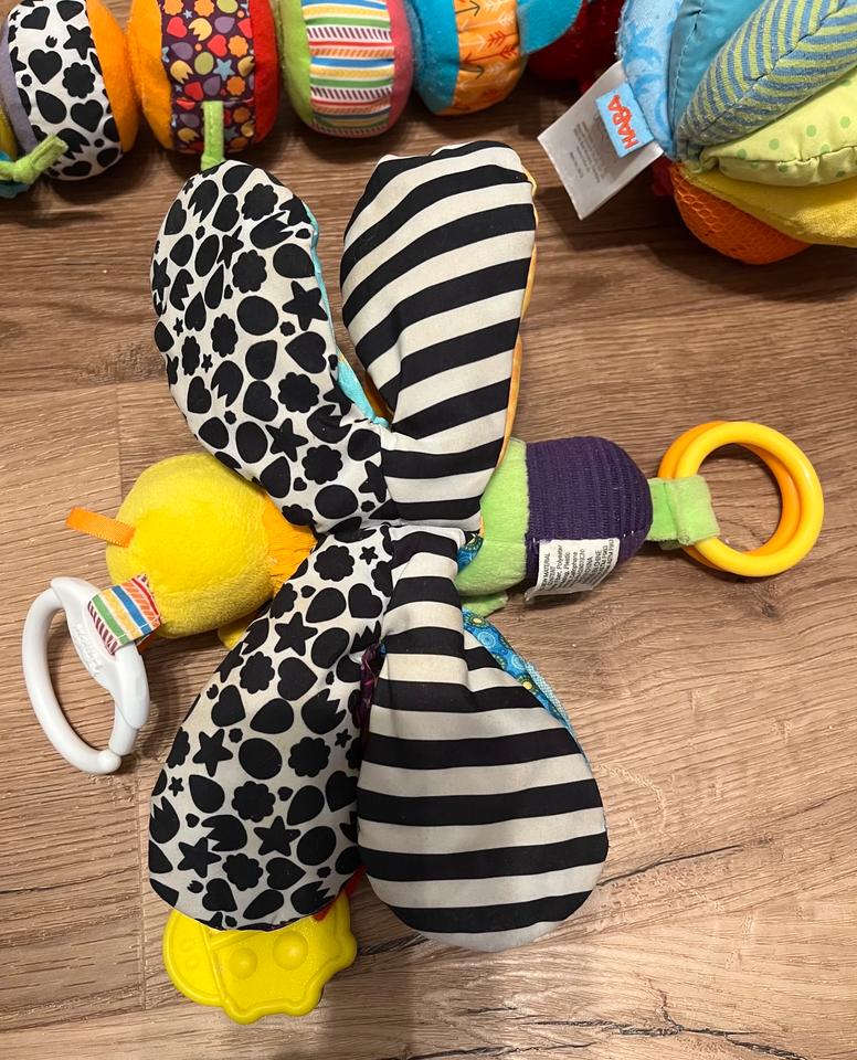 Lamaze Raupe Motte Glühwürmchen Haba Motorik Activity Baby in Köln