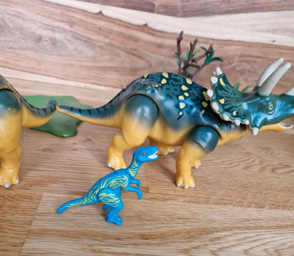 Playmobil Dinos Tyrannosaurus Rex T-Rex Brachiosaurus Triceratops in Plauen